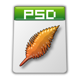 PSD File